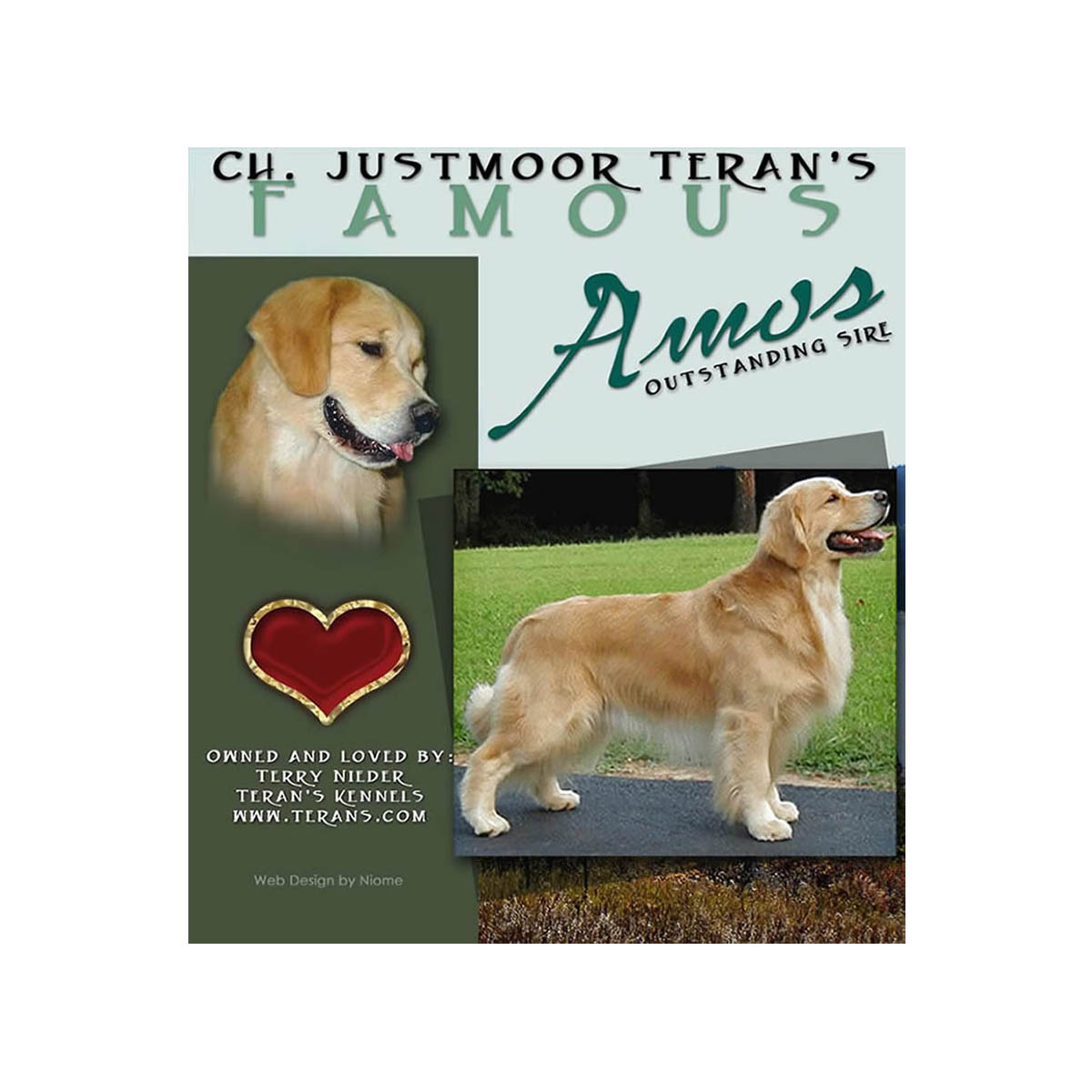 stud dog amos