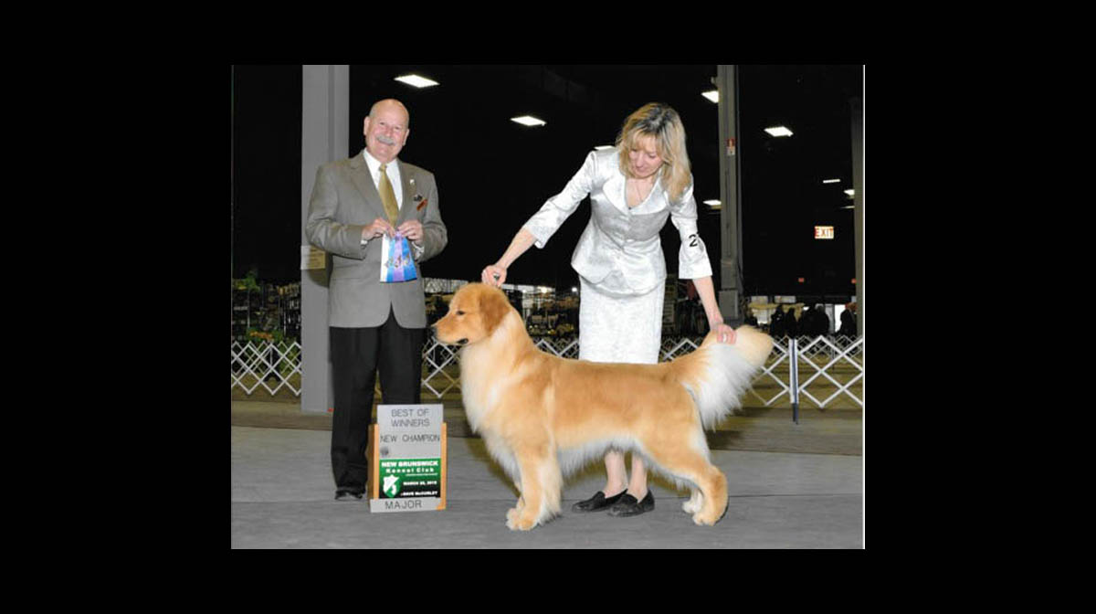 stud dog vegas
